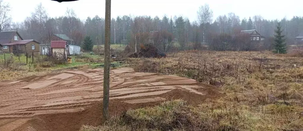 Участок в Новгородская область, Валдайский район, Рощинское с/пос, д. ... - Фото 1