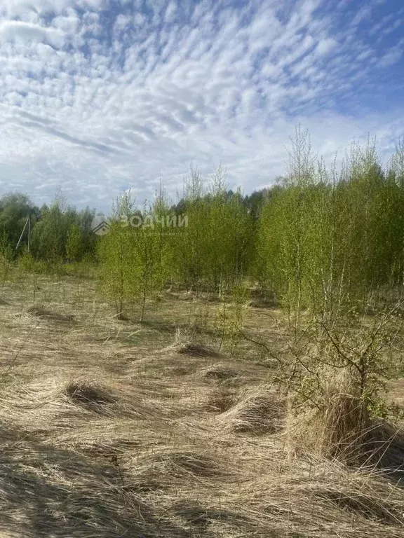Участок в Чувашия, Ядрин ул. Карла Маркса (10.0 сот.) - Фото 0