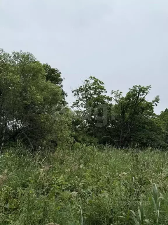 Участок в Приморский край, Надеждинский район, Опережающего ... - Фото 1