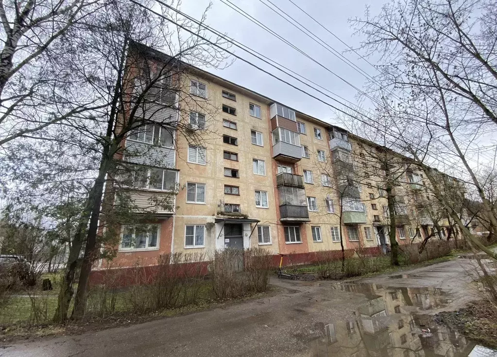 2-к кв. Московская область, Ивантеевка Пушкинский городской округ, ... - Фото 1