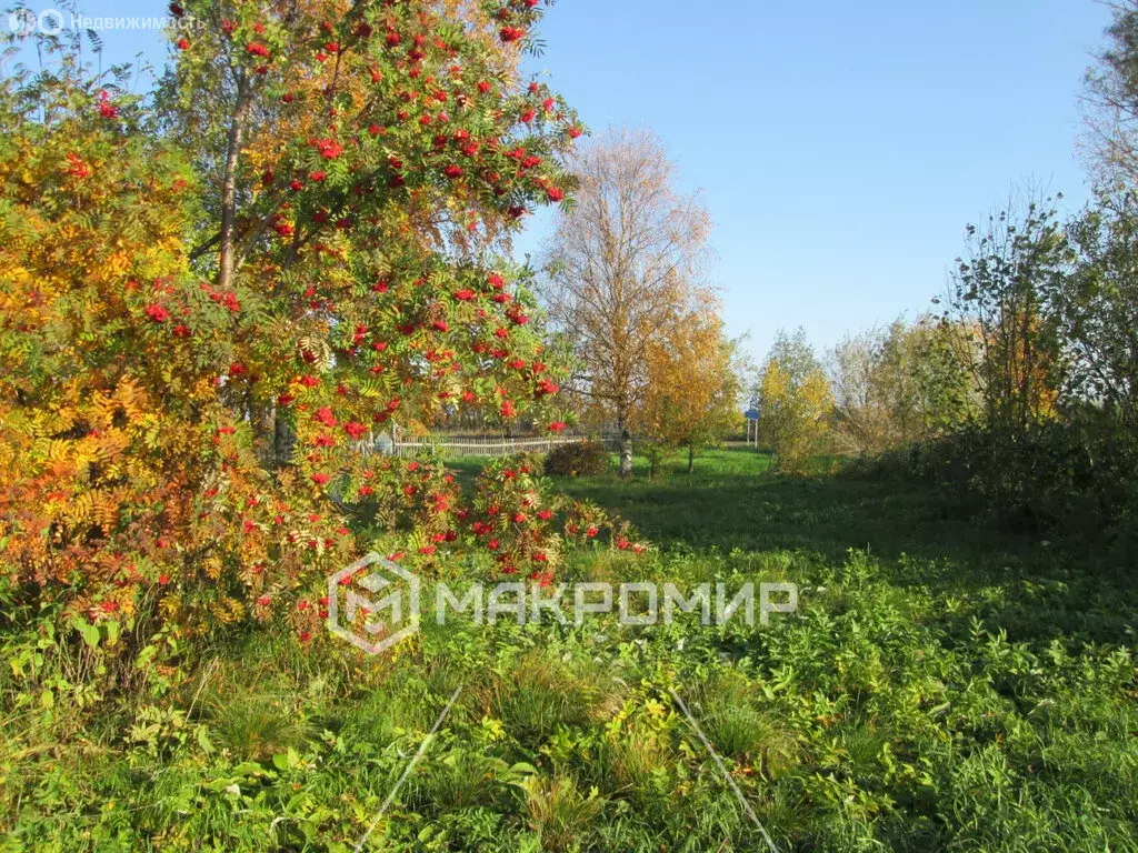 Участок в Архангельск, садовое товарищество Бочага (16 м) - Фото 1