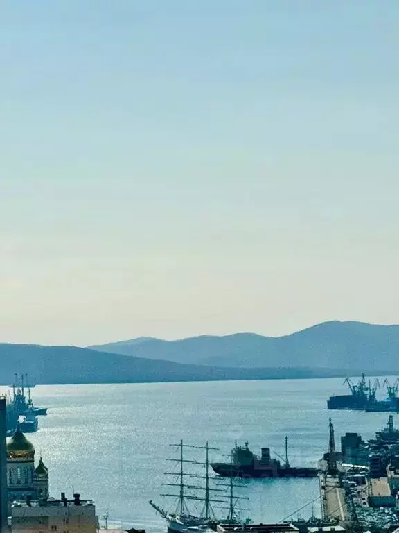 Студия Приморский край, Владивосток ул. Прапорщика Комарова, 34 (40.0 ... - Фото 2