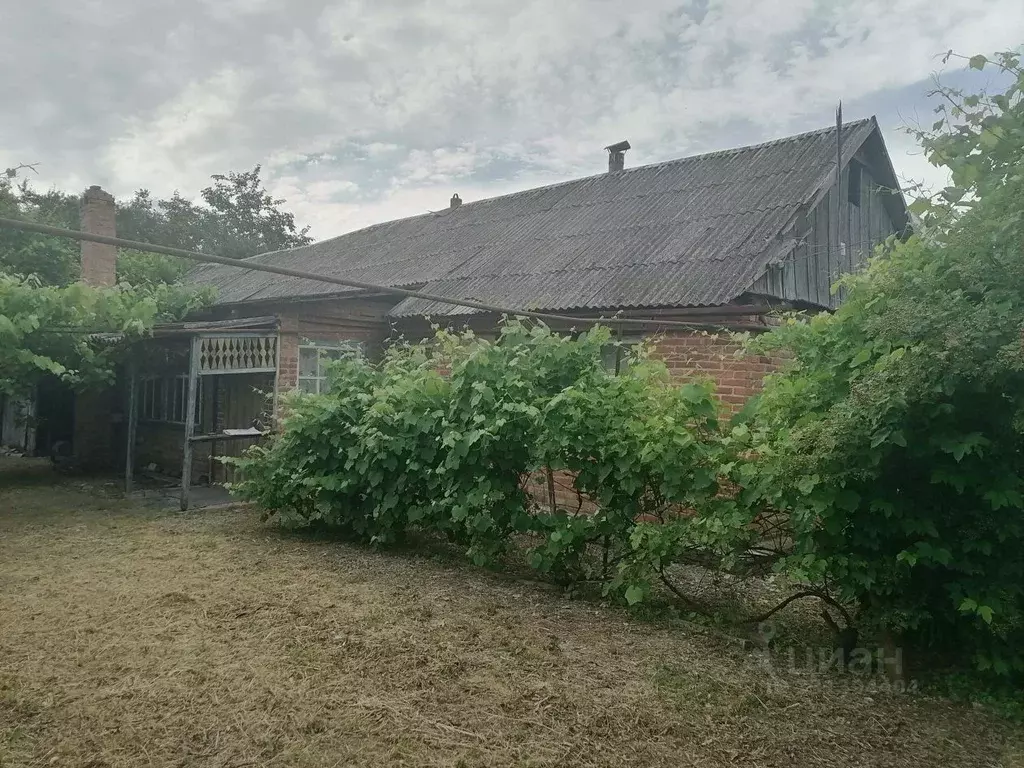 Участок в Краснодарский край, Абинск Коллективная ул. (9.8 сот.) - Фото 1