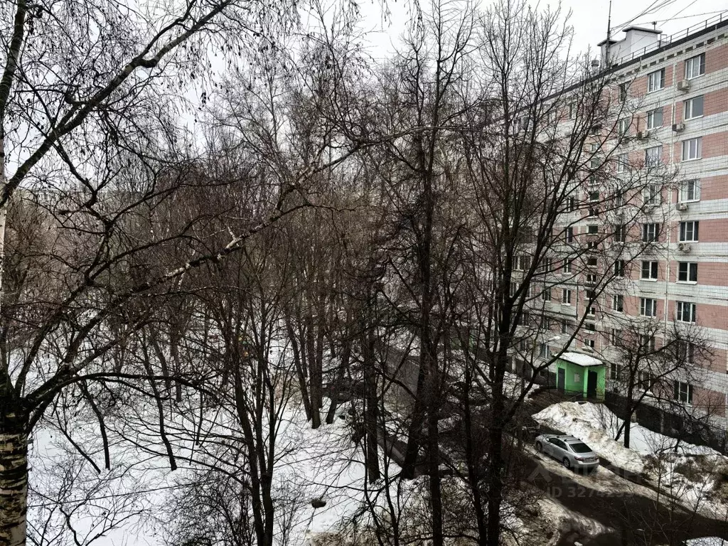 Комната Московская область, Мытищи Юбилейная ул., 25к1 (16.3 м) - Фото 2