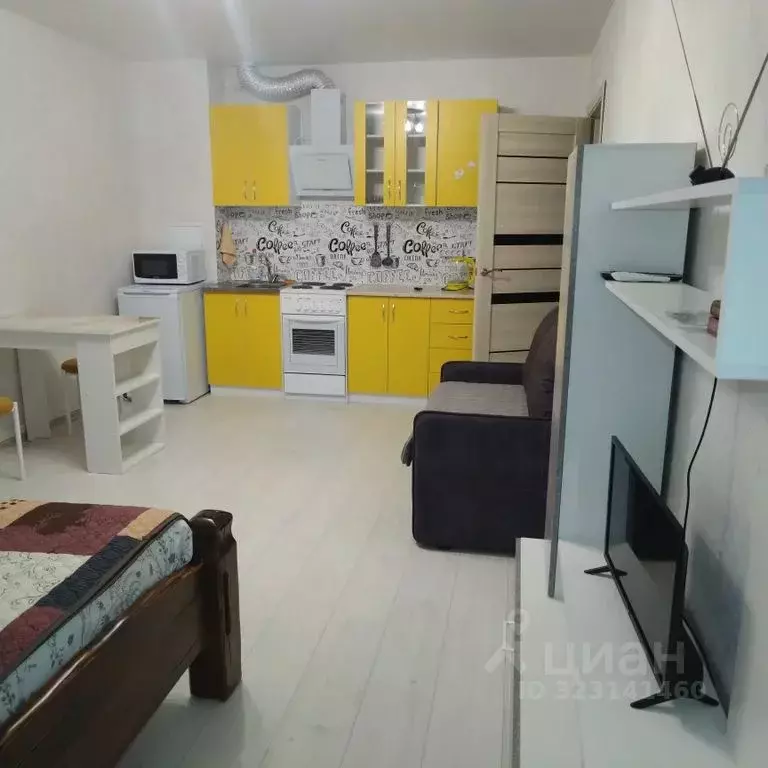 Студия Адыгея, Майкоп ул. Вадима Лемеша, 3 (27.0 м) - Фото 1