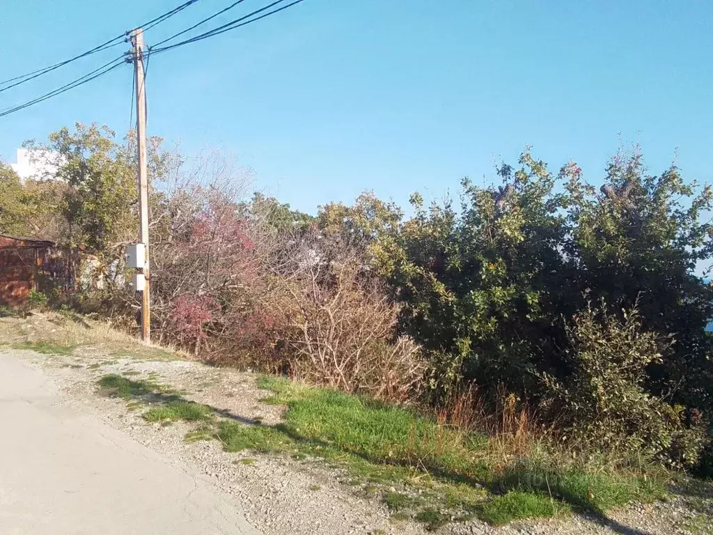 Участок в Крым, Ялта муниципальный округ, Кацивели пгт ул. Виткевича ... - Фото 2