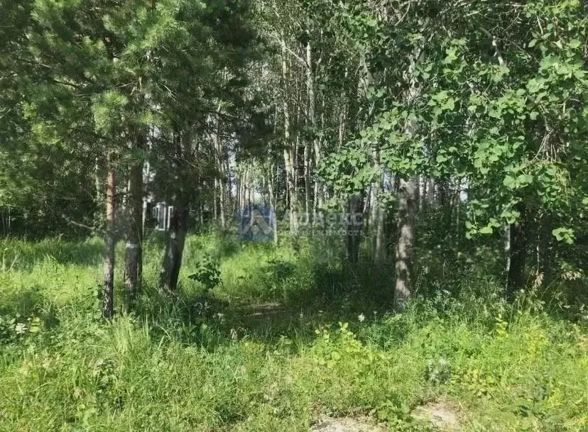 Участок в Тюменская область, Нижнетавдинский район, Сундукуль СНТ  ... - Фото 1