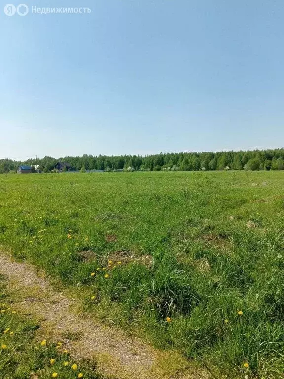 Участок в Череповецкий район, муниципальное образование Югское, ... - Фото 1