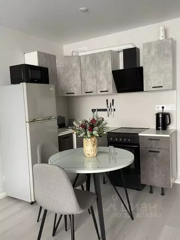 Студия Амурская область, Благовещенский район, с. Чигири Восточная ... - Фото 1