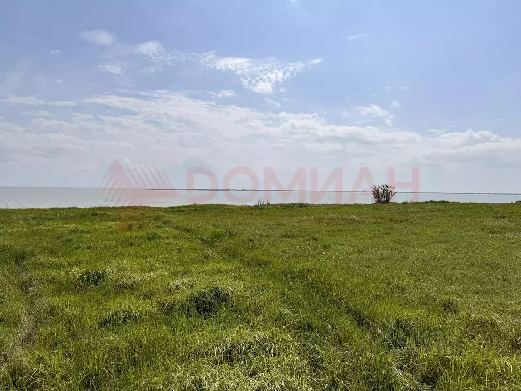 Участок в Ростовская область, Неклиновский район, Лакедемоновское ... - Фото 1