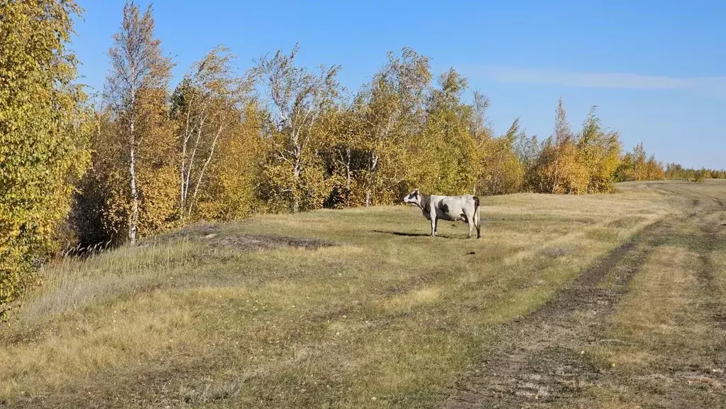 Участок, 10 сот., сельхоз (снт или днп) - Фото 1
