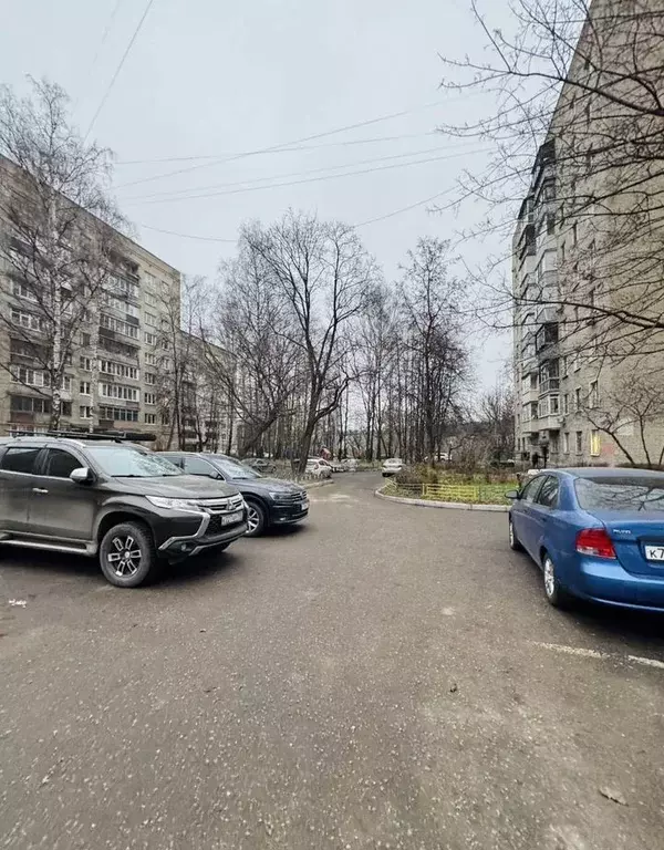 3-к кв. Московская область, Балашиха Живописная ул., 1 (60.0 м) - Фото 2