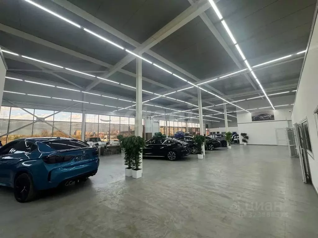 Помещение свободного назначения в Тюменская область, Тюмень ул. ... - Фото 1