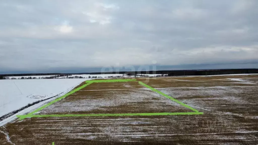 Участок в Московская область, Коломна городской округ, д. Горностаево  ... - Фото 1