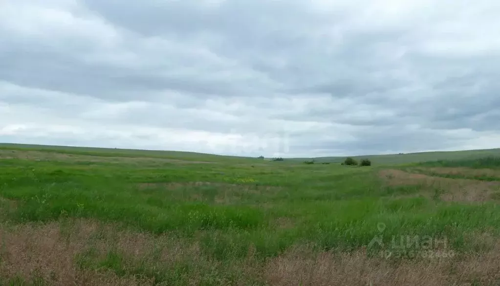 Участок в Волгоградская область, Среднеахтубинский район, Фрунзенское ... - Фото 1