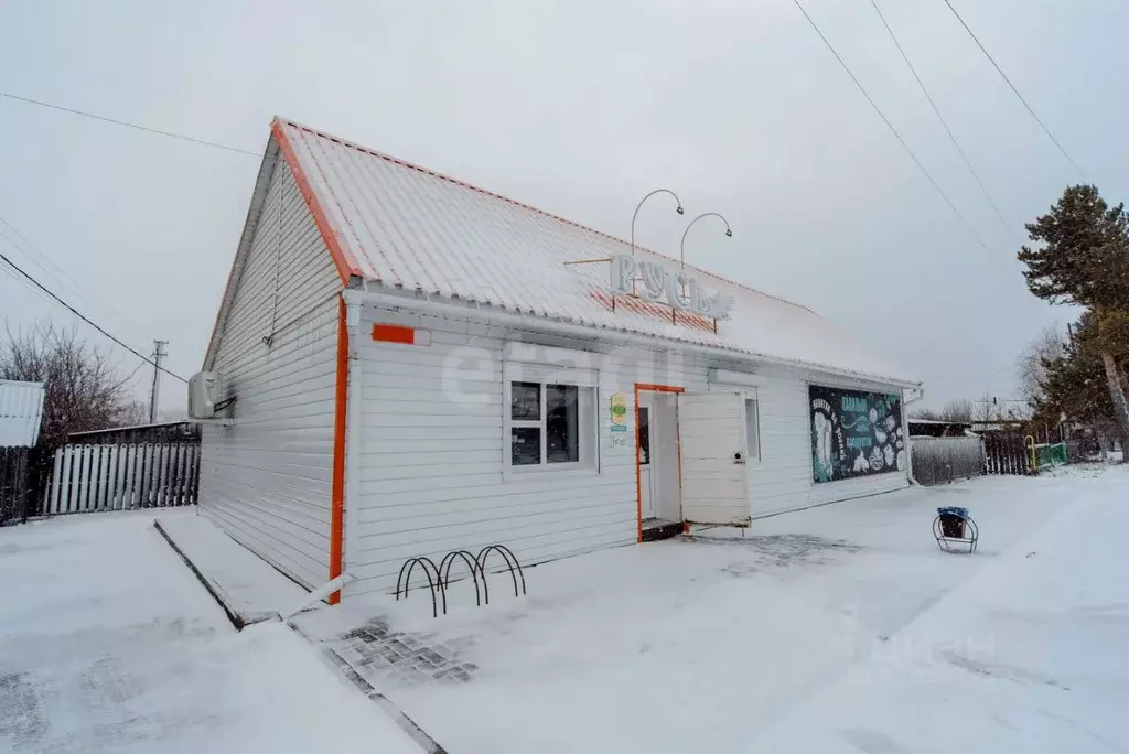 Торговая площадь в Алтайский край, Алтайский район, с. Алтайское ул. ... - Фото 2