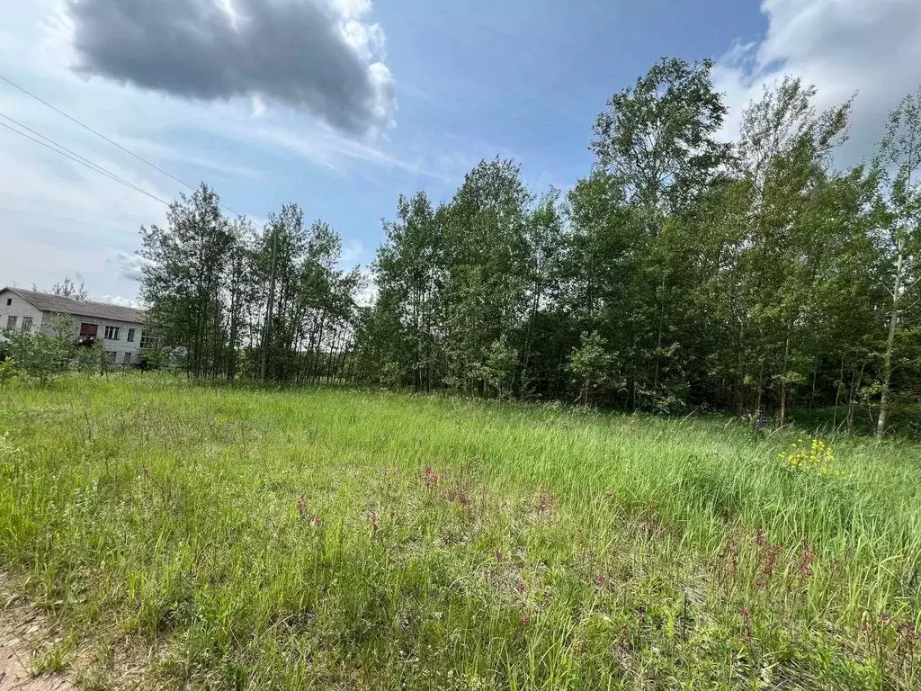 Участок в Владимирская область, Киржачский район, Горкинское ... - Фото 1