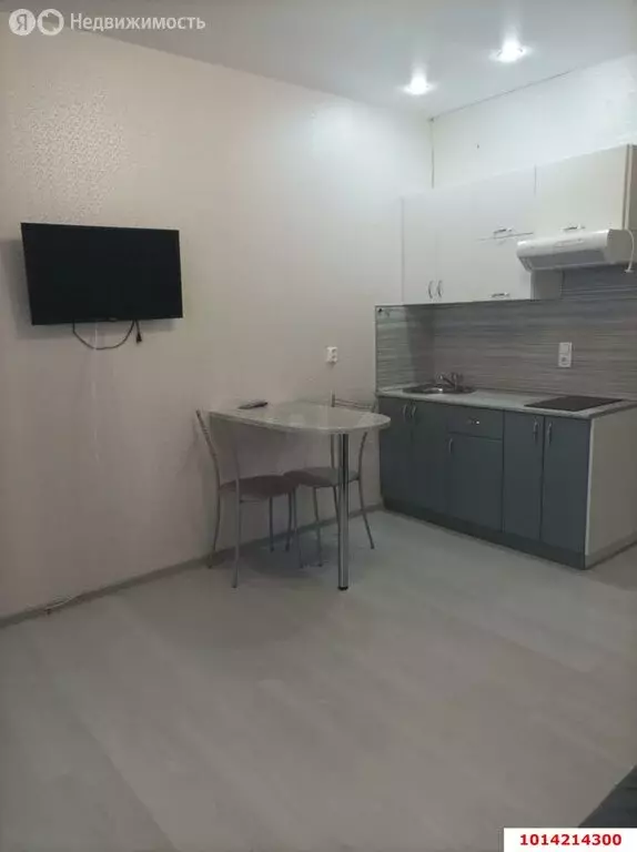 Квартира-студия: Краснодар, улица им. Героя Сарабеева В.И., 7 (25 м) - Фото 1