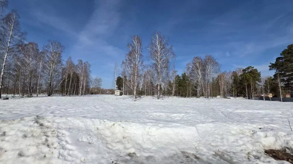 Участок в Томская область, Томский район, д. Кандинка ул. Ягодная ... - Фото 1