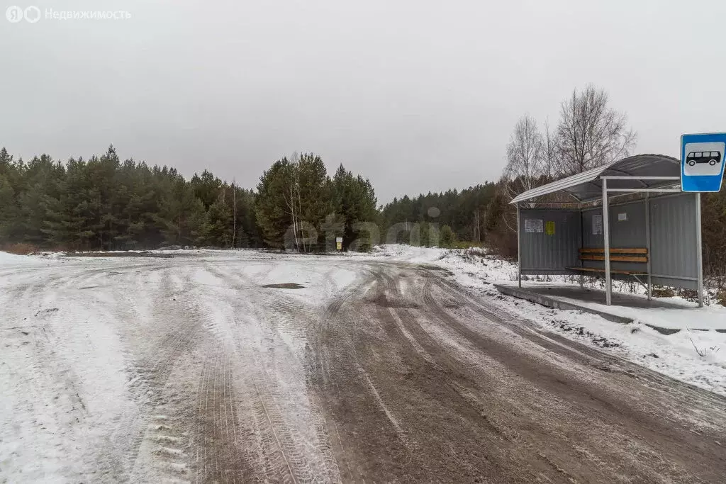 Участок в Тюменский муниципальный округ, деревня Костылева, Лесная ... - Фото 2