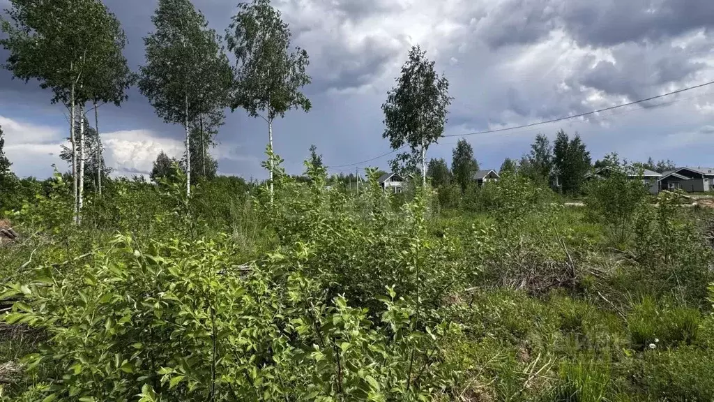 Участок в Пермский край, Добрянский муниципальный округ, д. Городище ... - Фото 0