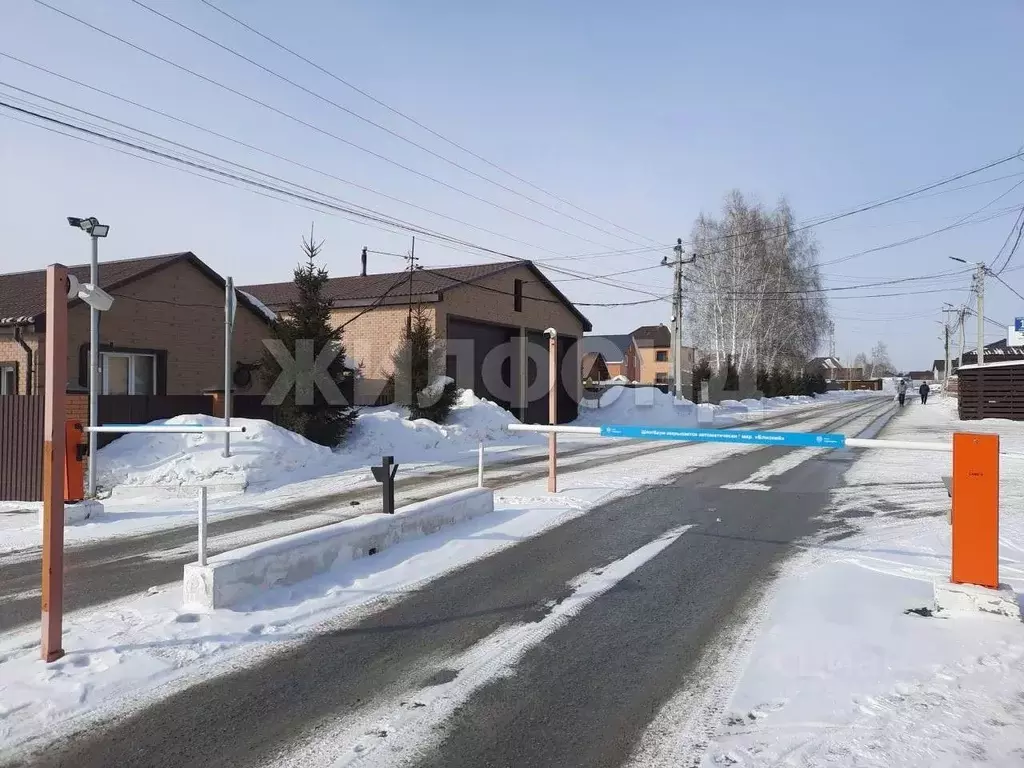 Участок в Новосибирская область, Новосибирский район, Каменский ... - Фото 1