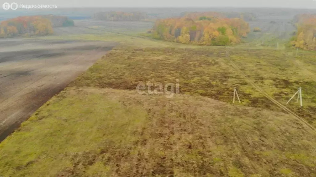 Участок в Тюменский район, село Горьковка (4.2 м) - Фото 1