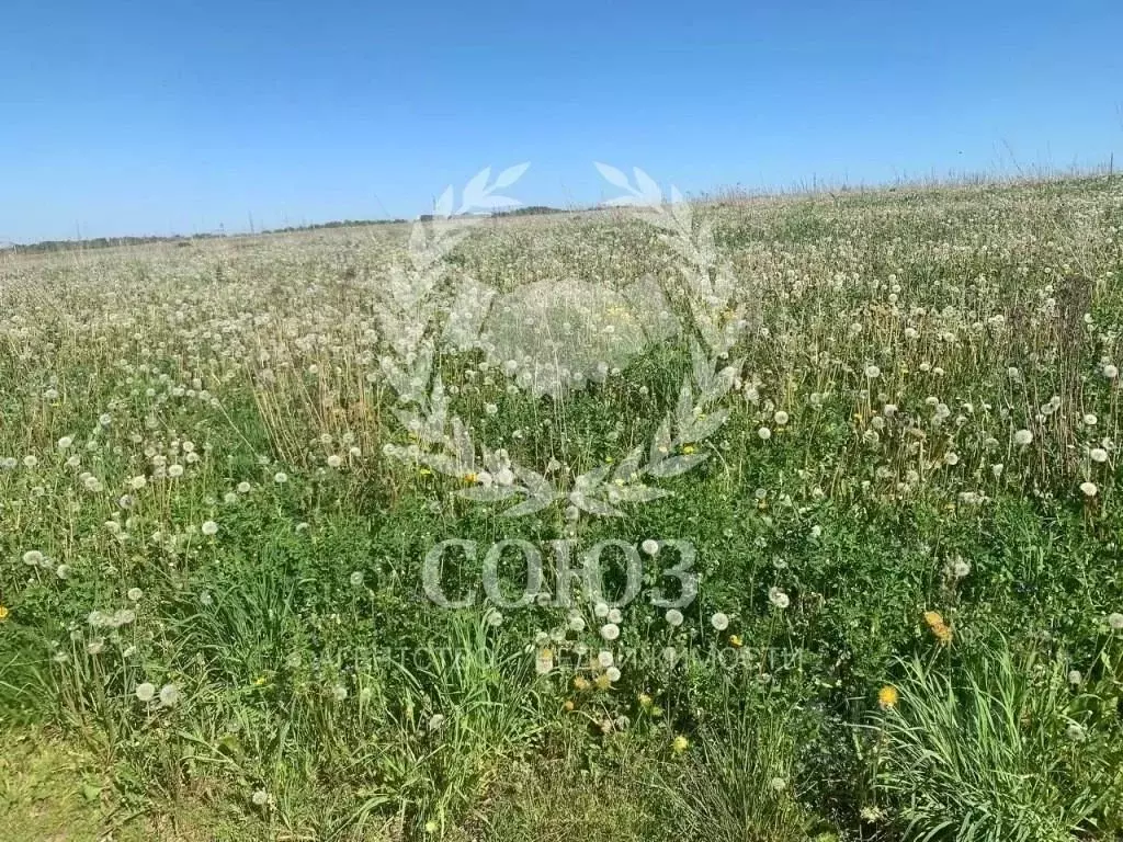 Участок в Калужская область, Жуковский муниципальный округ, Троицкое ... - Фото 1