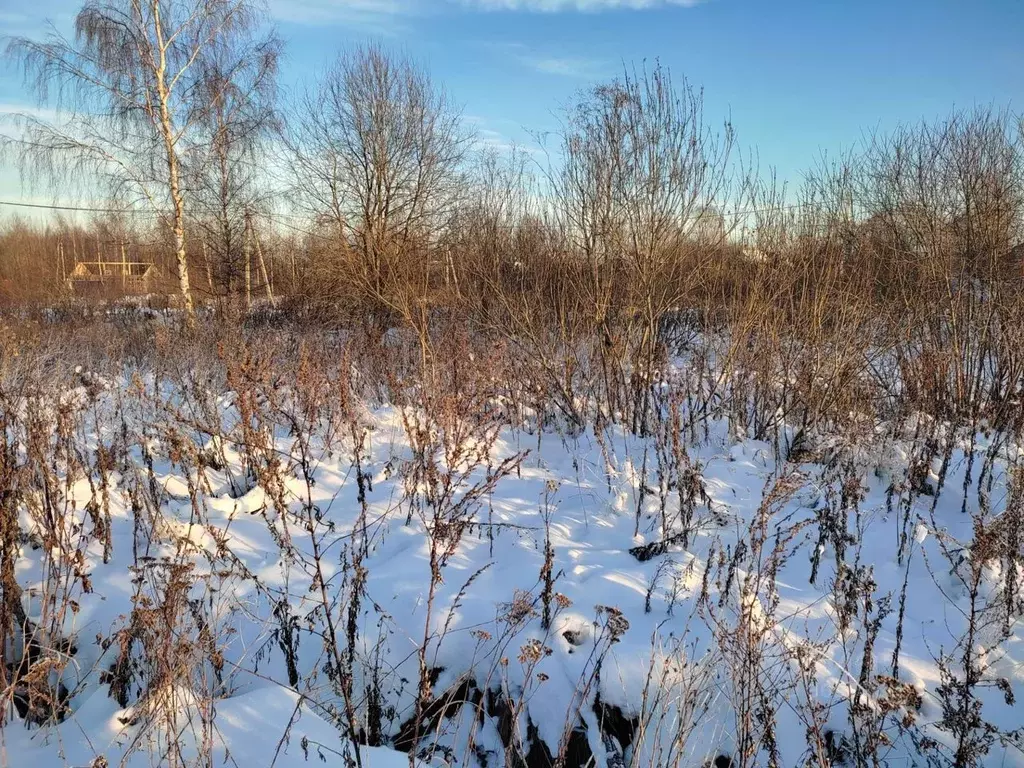 Участок в Новгородская область, Новгородский район, Бронницкое с/пос, ... - Фото 0