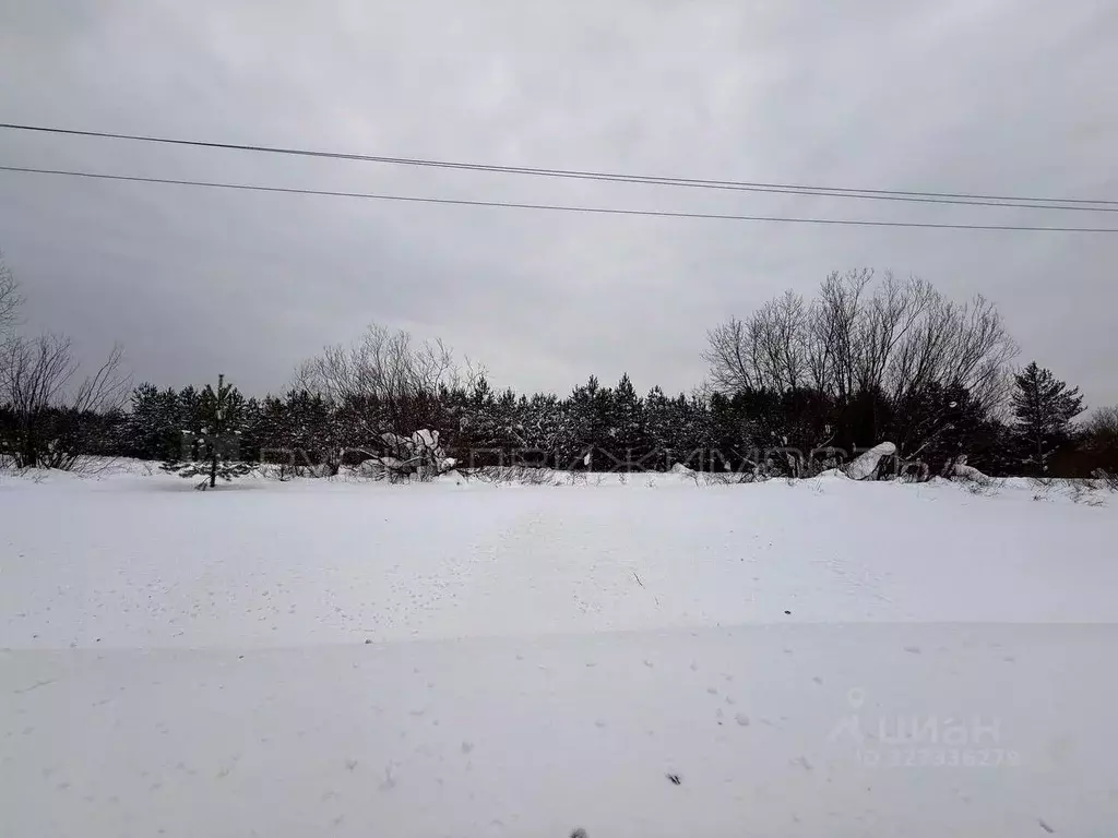 Участок в Кировская область, Кирово-Чепецкий район, Пасеговское с/пос, ... - Фото 2