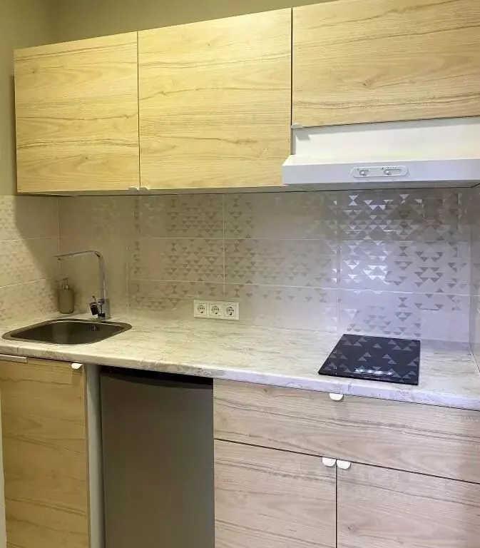 1-к кв. Томская область, Томск просп. Кирова, 38 (25.0 м) - Фото 1