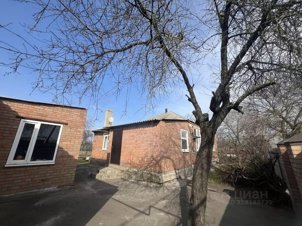 Дом в Ростовская область, Багаевская ст-ца ул. Думенко (65 м) - Фото 2