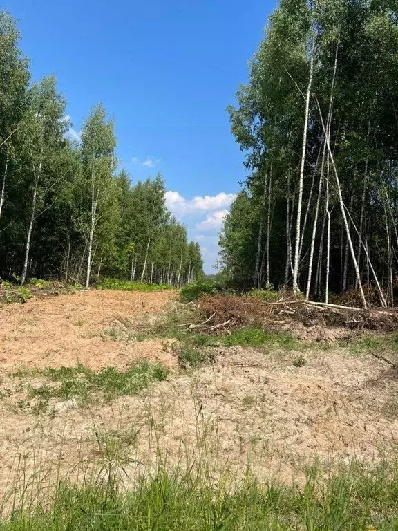 Участок, 120 сот., сельхоз (снт или днп) - Фото 1