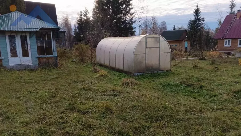 Участок в Вологодская область, Содружество садоводческое товарищество ... - Фото 0