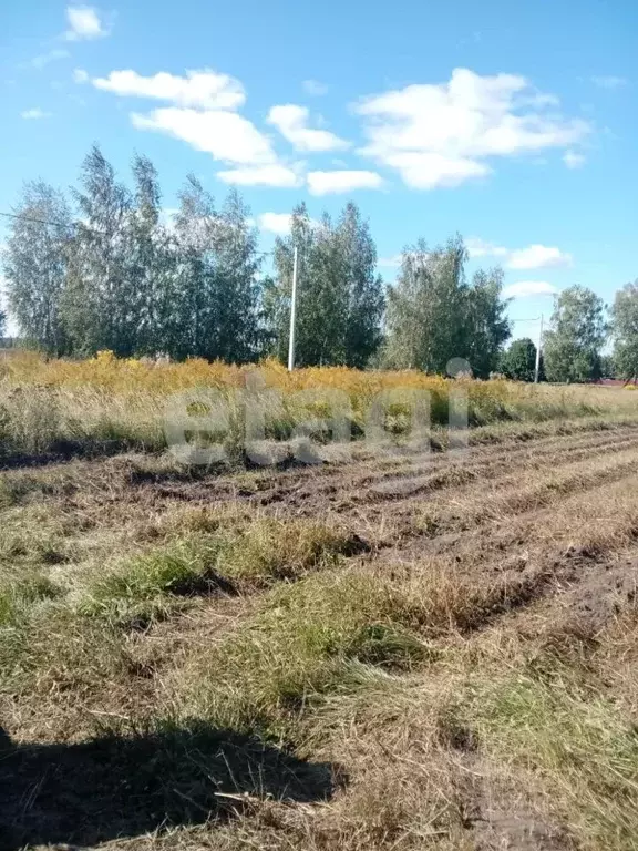 Участок в Брянская область, Брянский район, Мичуринское с/пос, д. ... - Фото 2