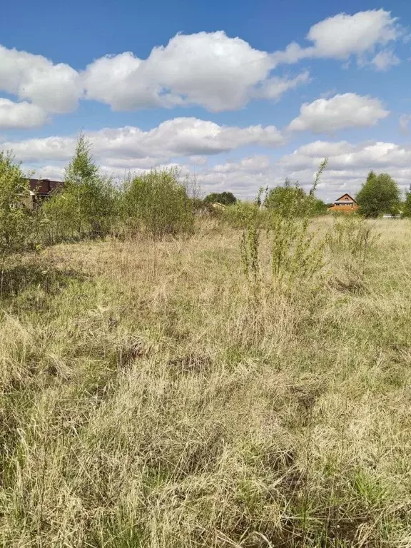 Участок в Московская область, Орехово-Зуевский городской округ, д. ... - Фото 1