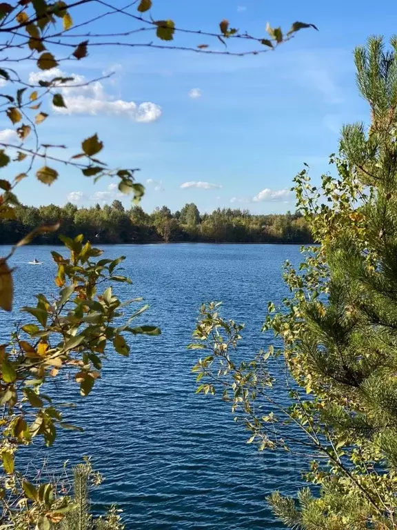 Участок в Московская область, Богородский городской округ, с. Бисерово ... - Фото 0