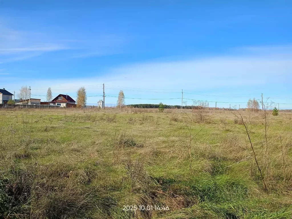 Участок в Новосибирская область, Мошковский район, ... - Фото 0