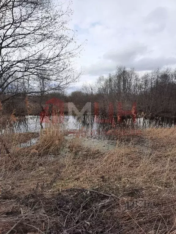 Участок в Тверская область, Конаковский муниципальный округ, д. ... - Фото 0