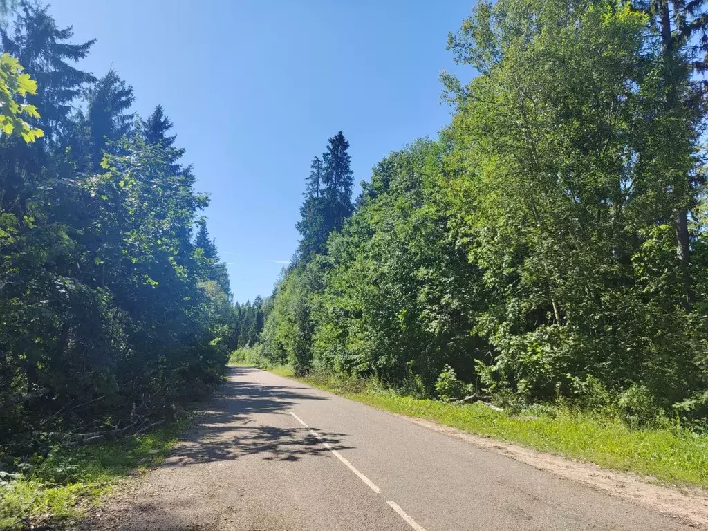 Участок в Московская область, Дмитровский муниципальный округ, д. ... - Фото 2