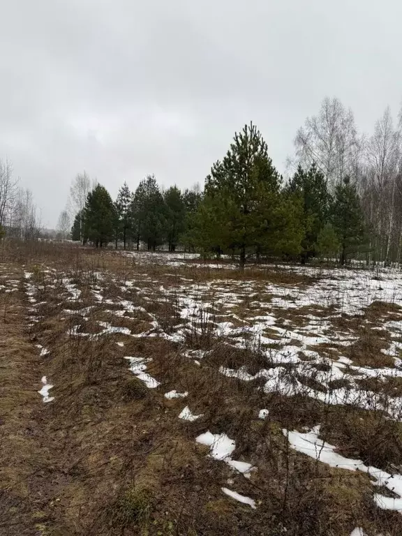 Участок в Владимирская область, Судогодский район, Лавровское ... - Фото 1