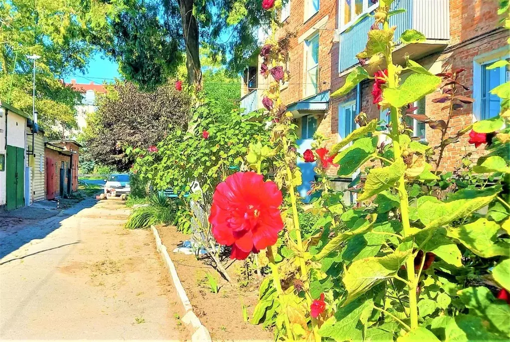 3-к кв. Краснодарский край, Ейск Коммунистическая ул., 6А (55.0 м) - Фото 0