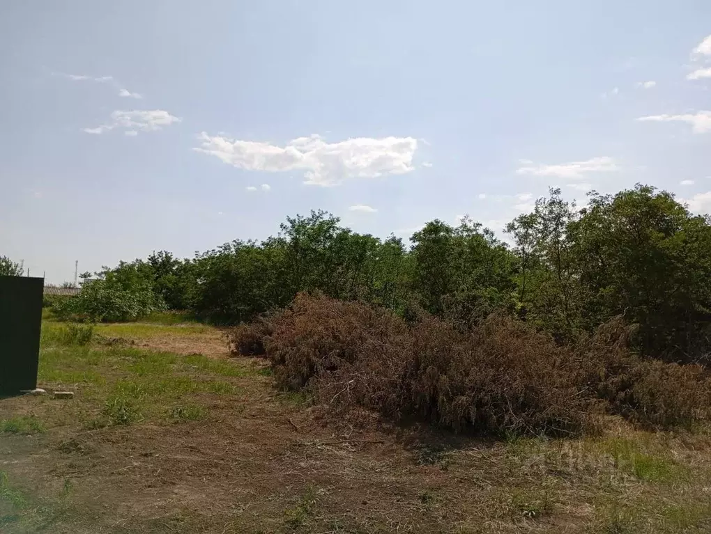 Участок в Краснодарский край, Ейский район, Должанская ст-ца ул. Мира ... - Фото 1