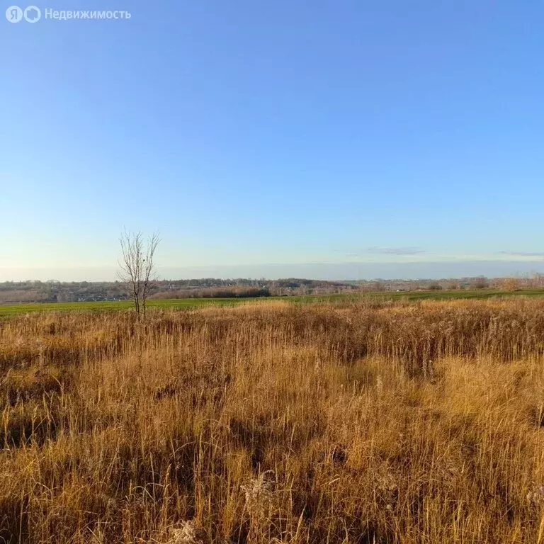 Участок в Донской, Октябрьский проезд (15 м) - Фото 2