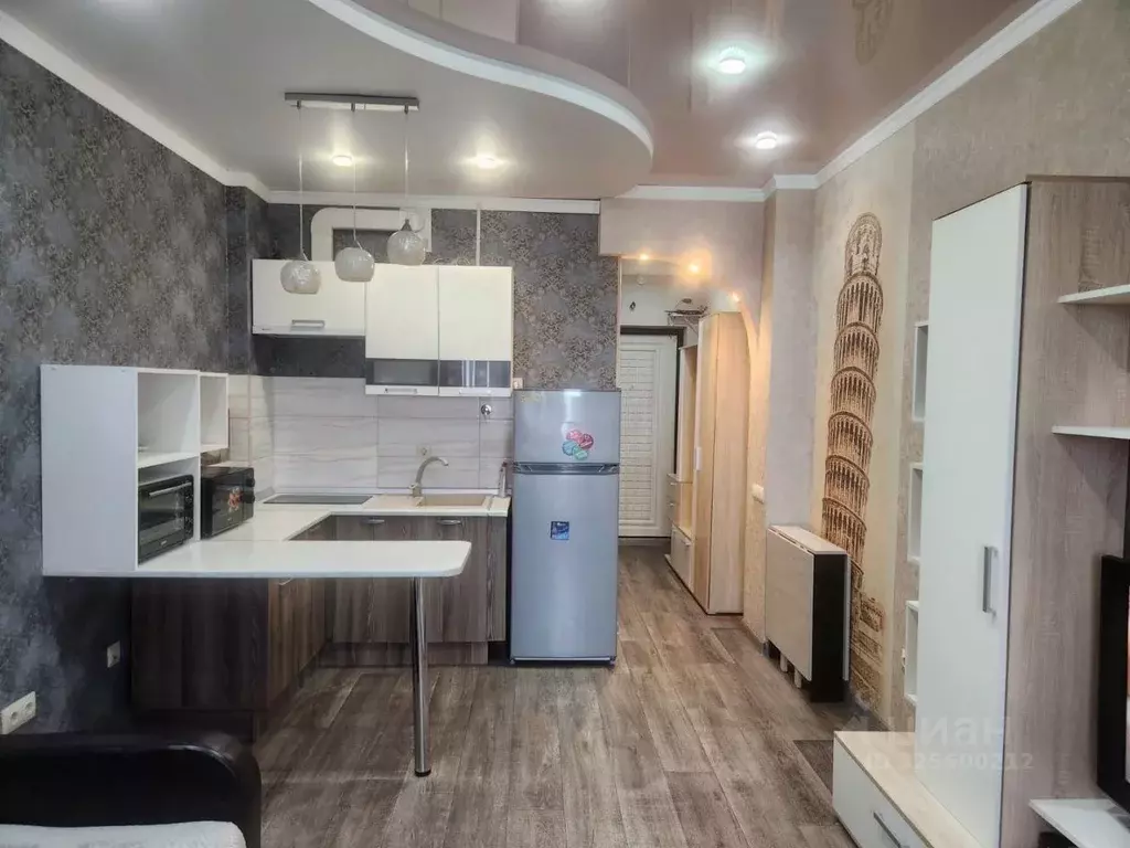 Студия Ростовская область, Ростов-на-Дону ул. Еляна, 68 (24.0 м) - Фото 2