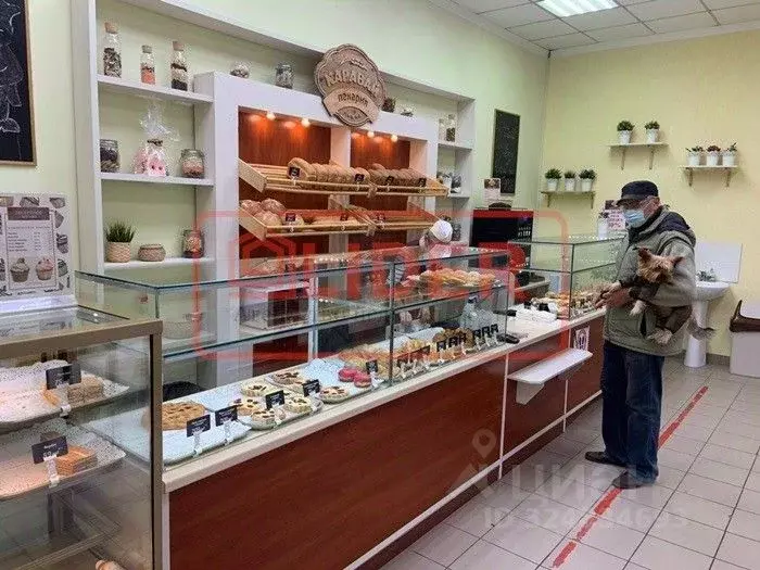 Торговая площадь в Севастополь просп. Октябрьской Революции, 32Г (55 ... - Фото 2