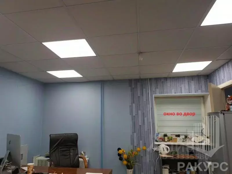 Офис в Пермский край, Пермь ул. Пушкина, 109 (45 м) - Фото 1