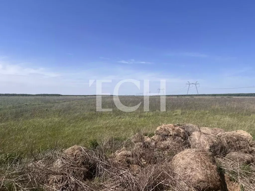 Помещение свободного назначения в Тульская область, Веневский ... - Фото 2