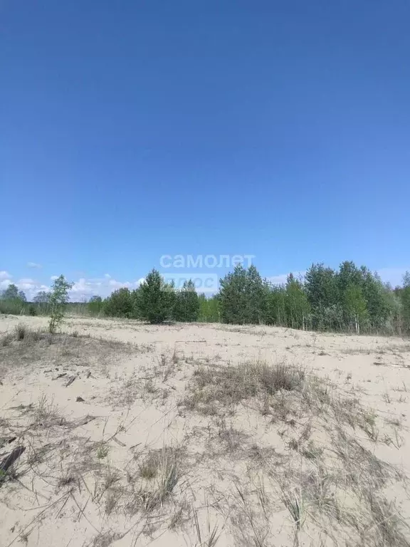 Участок в Ханты-Мансийский АО, Сургутский район, Барсово пгт  (6.0 ... - Фото 0