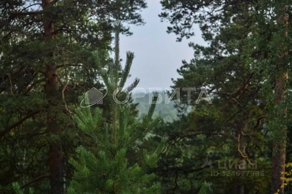 Участок в Свердловская область, Ревда муниципальный округ, пос. ... - Фото 1